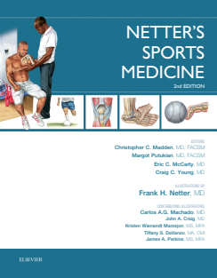 Netter's Sports Medicine