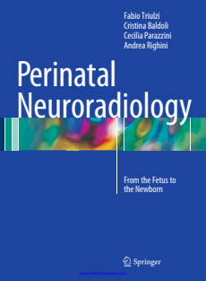 Perinatal Neuroradiology