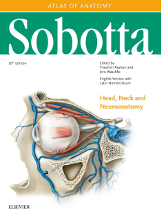 Sobotta Atlas of Anatomy, Vol. 3-1