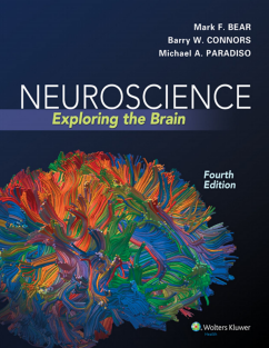 Neuroscience Exploring the Brain