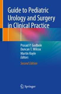 Guide to Pediatric Urology and Surgery in Clinical Practice