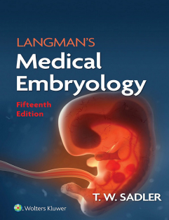 Langman’s Medical Embryology, 15e