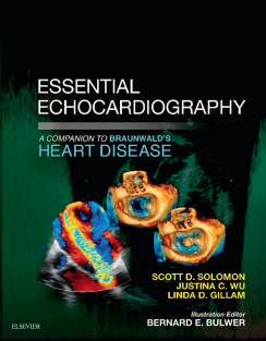 Essential echocardiography a companion to braunwald s heart disease