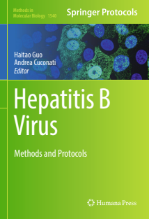 Hepatitis B Virus methods and protocols