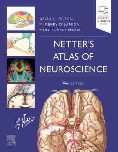 Netter's Atlas of Neuroscience (Netter Basic Science) 4th Edition