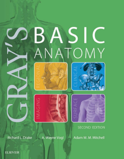 Gray's Basic Anatomy 2