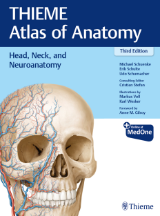 thieme Head, Neck, and Neuroanatomy