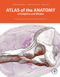 Atlas of the Anatomy of Dolphins and Whales, 1e