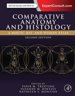 Comparative anatomy and histology