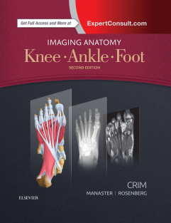 Imaging Anatomy  Knee Ankle Foot