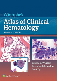 Wintrobe's Atlas of Clinical Hematology 2nd Edition