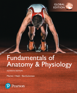 Fundamentals of Anatomy &amp; Physiology, Global Edition