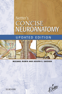 Netter's Concise Neuroanatomy Updated Edition (NetterClinica