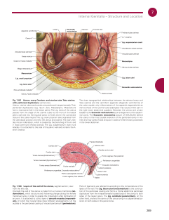 Sobotta Atlas of Anatomy, Vol. 2-400