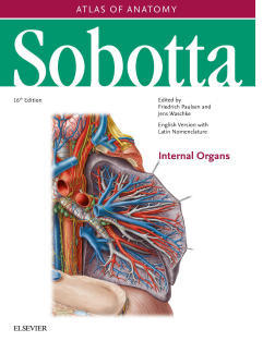 Sobotta Atlas of Anatomy, Vol. 2-100
