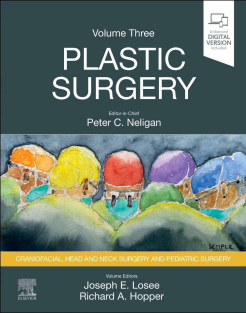Plastic_Surgery_Volume_3_Craniofacial,_Head_and_Neck_Surgery_2023